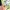 Mont Marte Oil Pastels 24pc - Image 4