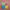Acmeliae Colourfull  Art Kneaded Eraser 1pes - Image 7