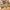Moshanghuakai series hand account and paper tape Washi Tap - Image 7